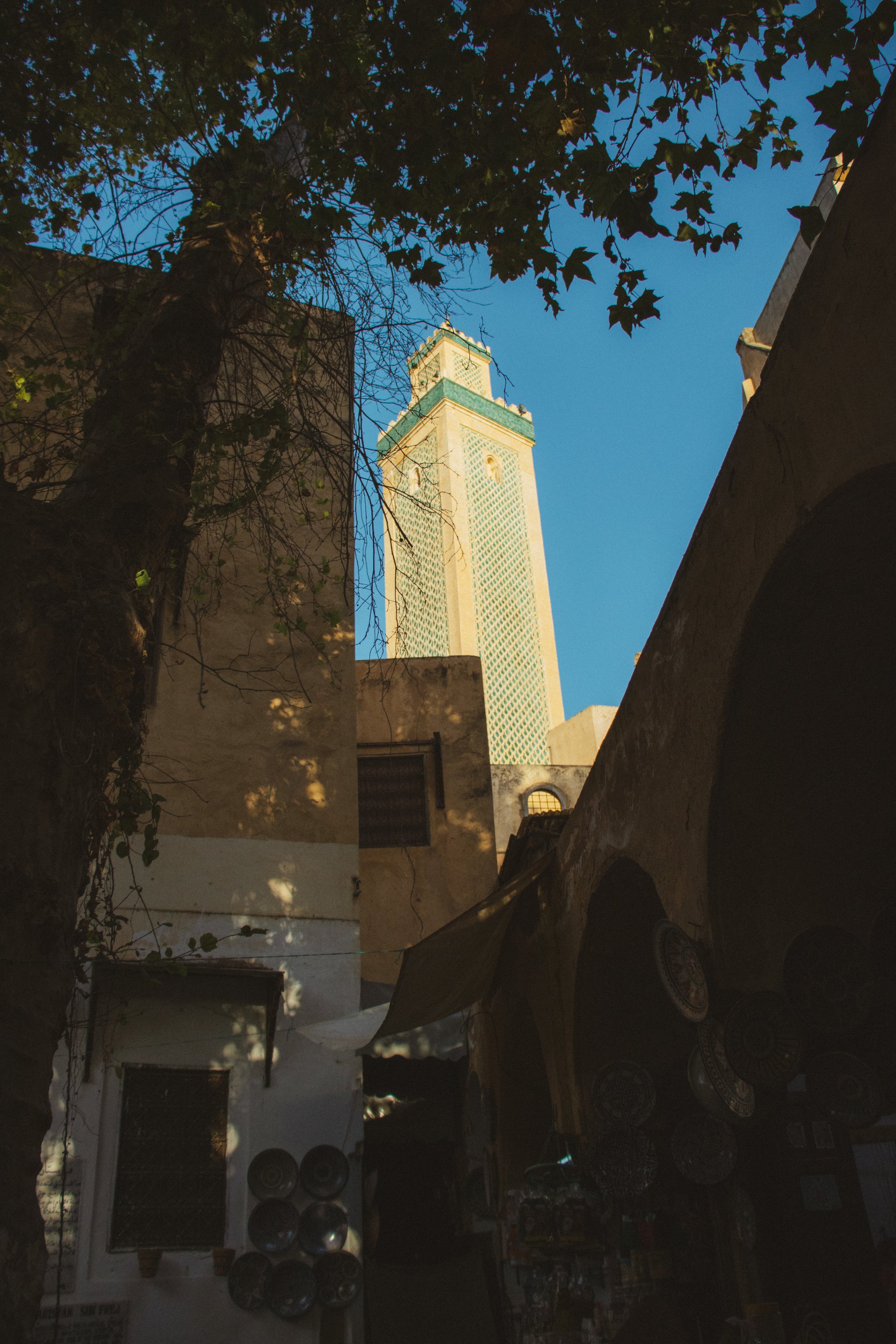 FES 2025 Photo 44