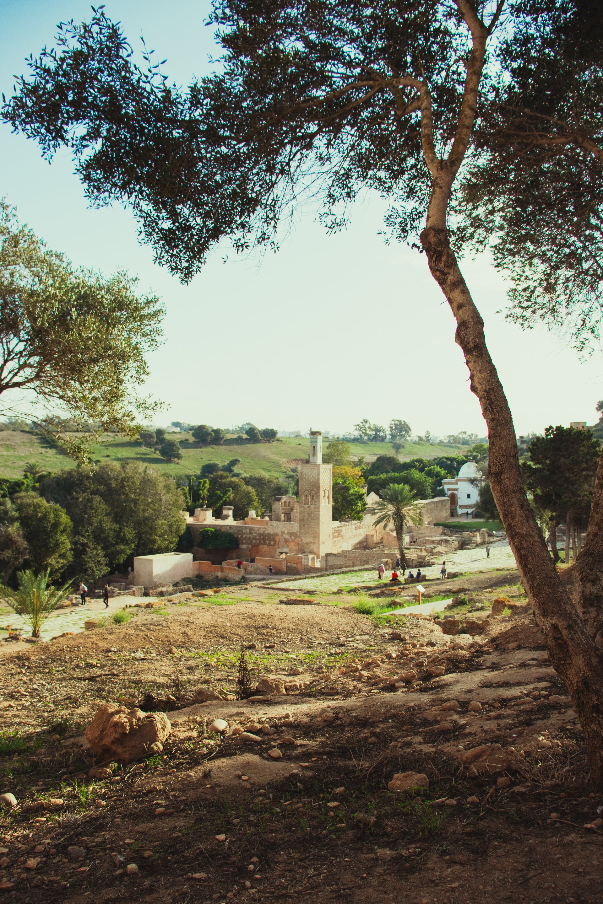 Rabat Photo 19