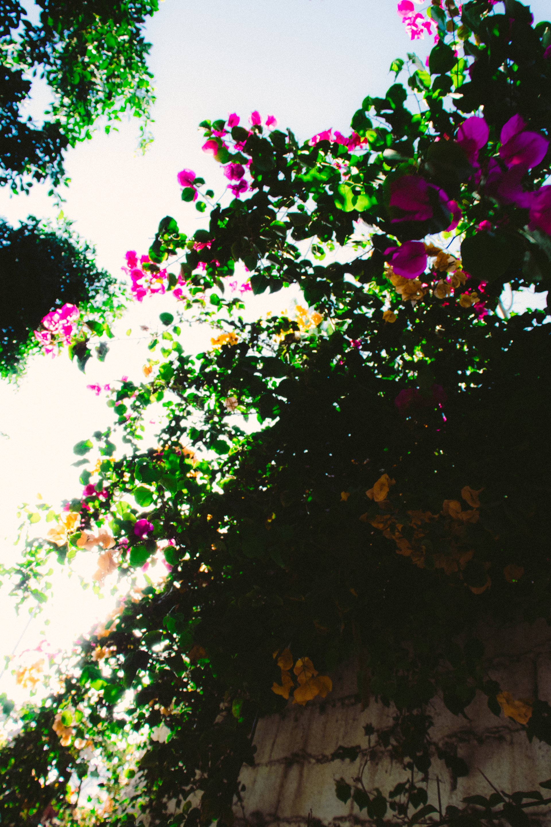 Rabat Photo 28