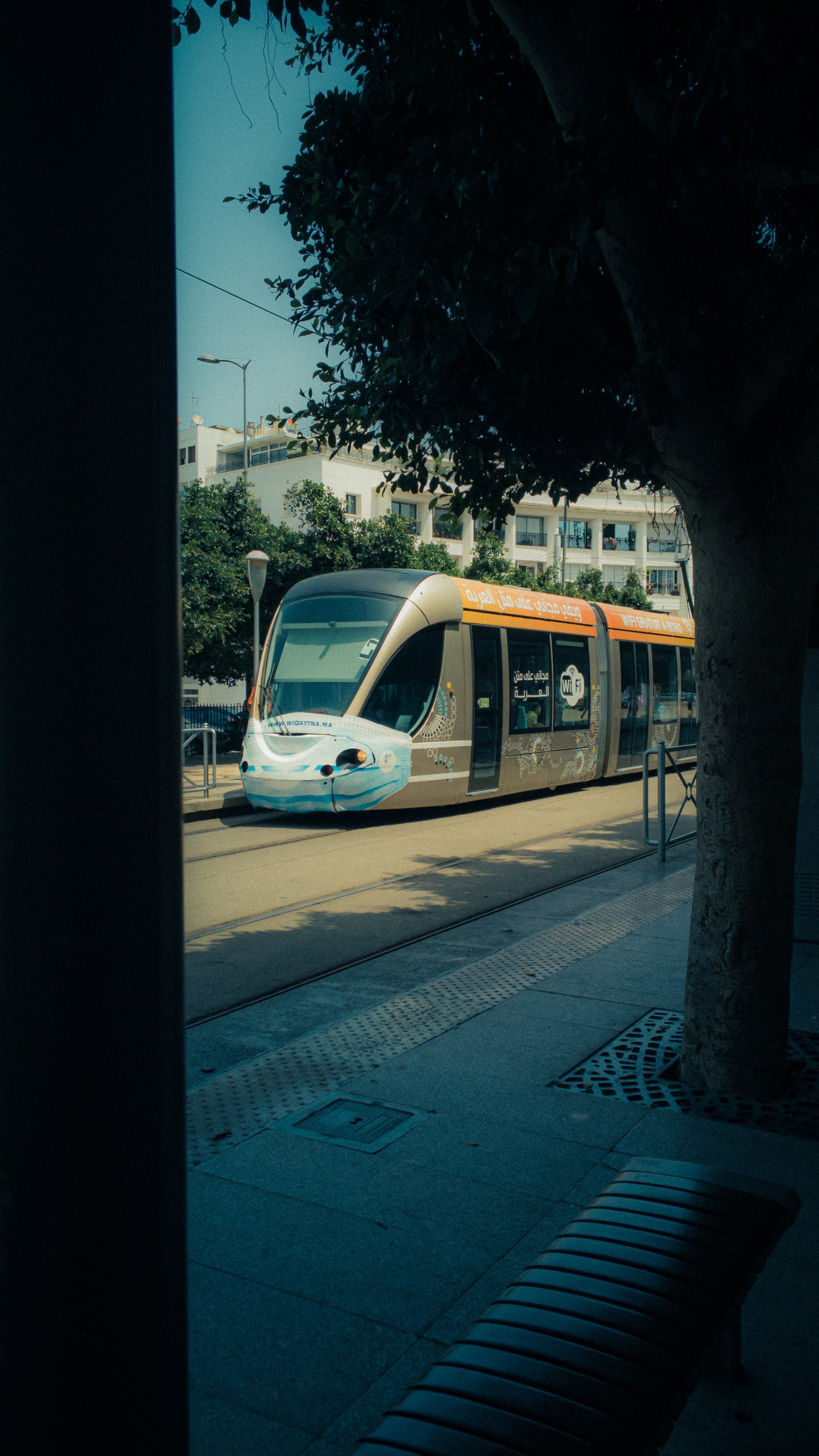 Rabat Photo 43