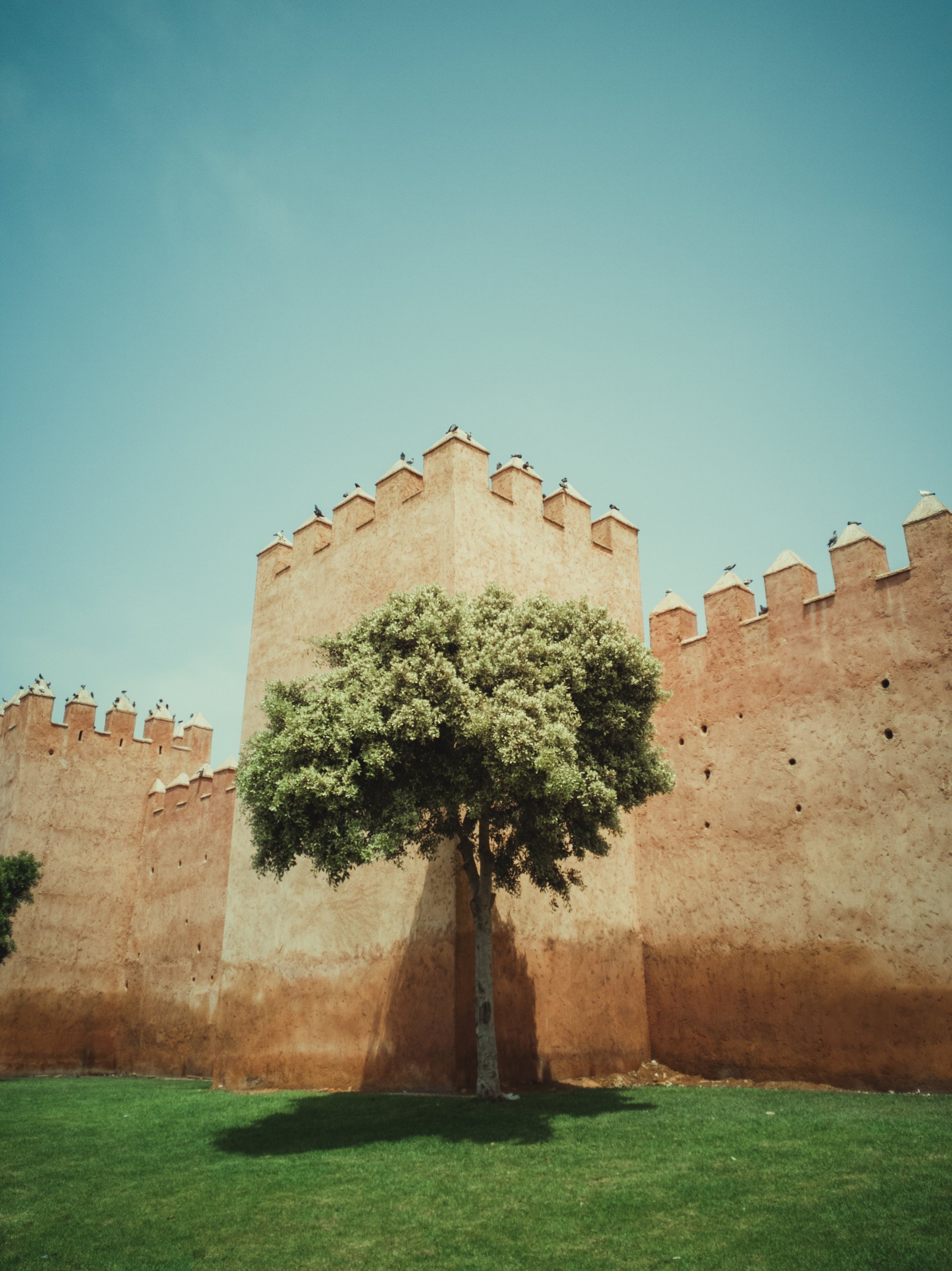 Rabat Photo 53
